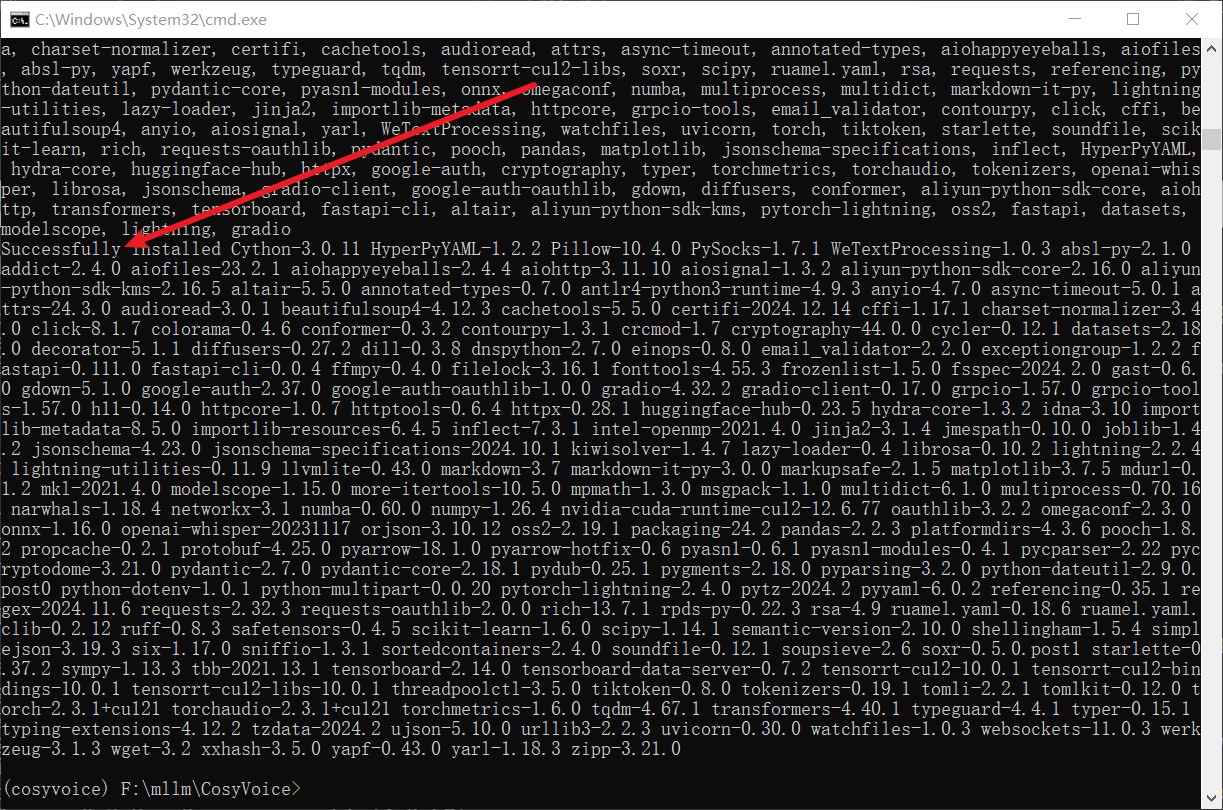 CosyVoice 项目，安装依赖成功